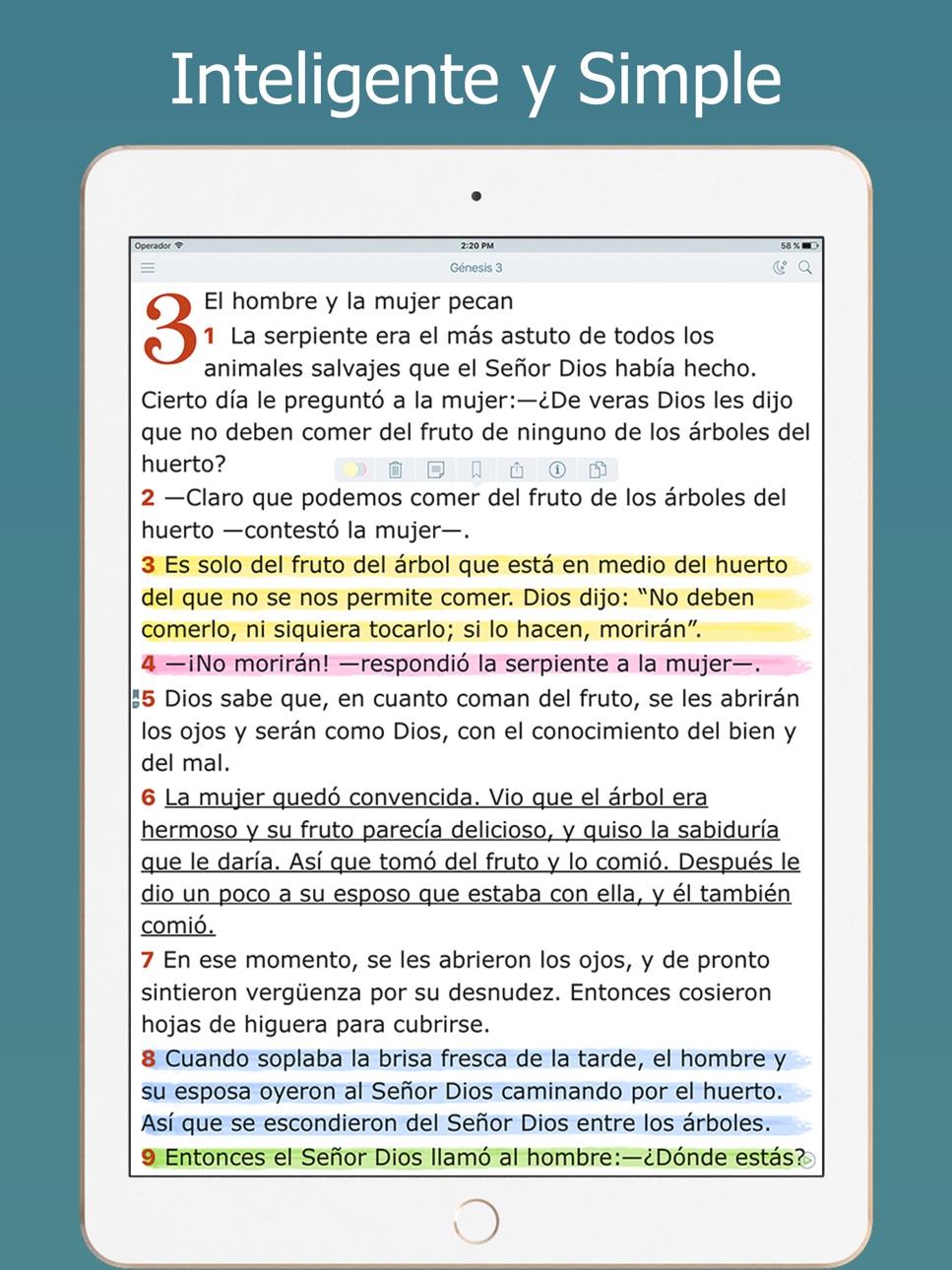 iPad screenshot
