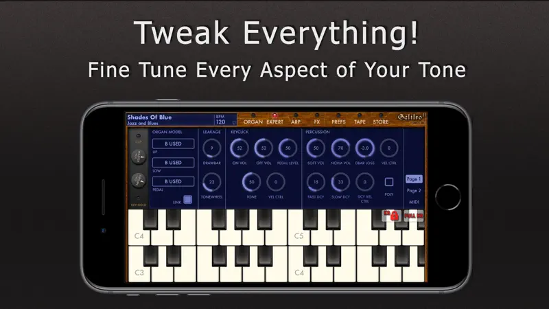Galileo Organ 2 screenshot 2 of 5
