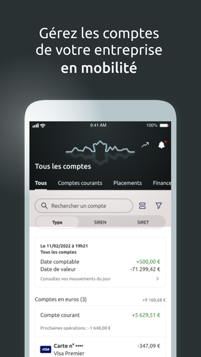 Banque Marze Pro Screenshot