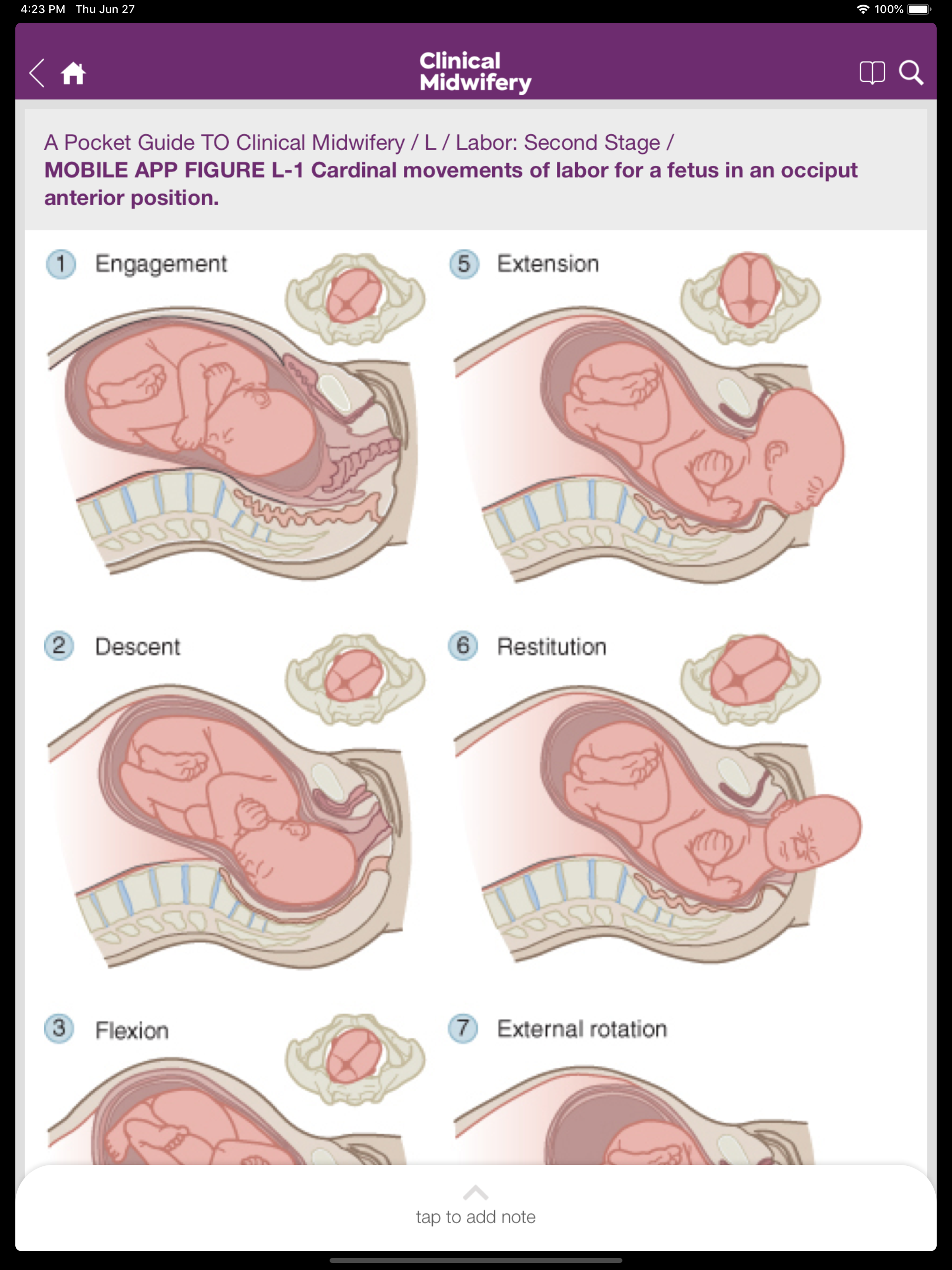 Guide to Clinical Midwifery