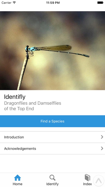 Identifly Dragonfly Guidebook
