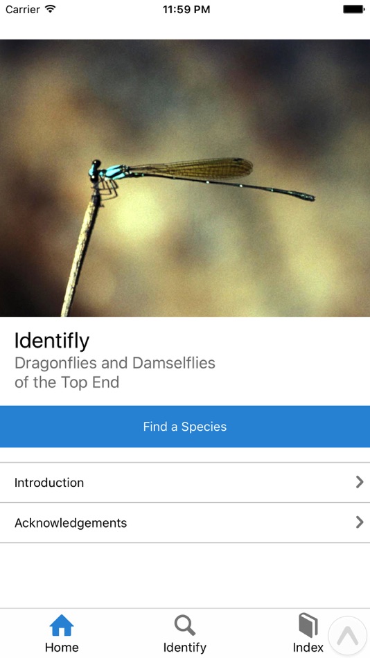 #2. Identifly Dragonfly Guidebook (iOS) By: James Friend