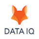 Data IQ Business Intelligence