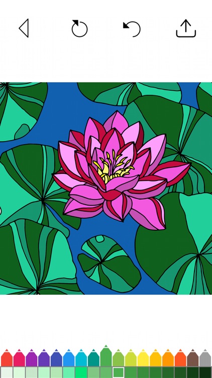 Flowers - Adult Coloring Book screenshot-6