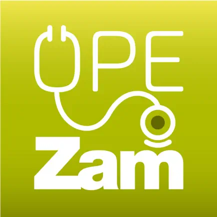 OPEZAM Читы