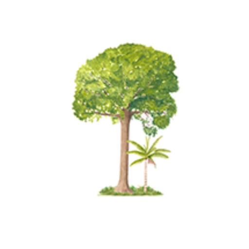 The Un-Endangered Forest