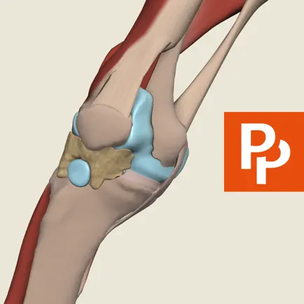 Primal's 3D Knee Cheats