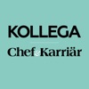 Kollega och Chef & karriär