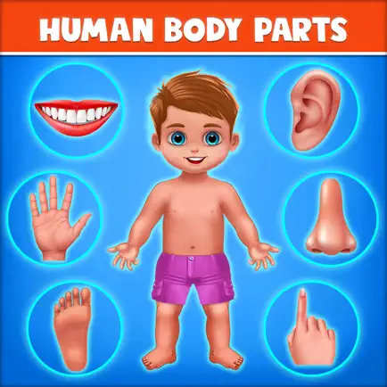 Human Body Parts Play to Learn Cheats