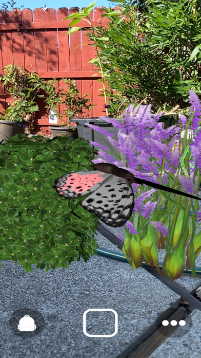 1001 Butterflies Screenshot