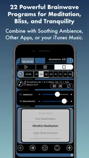 brainwave: altered states ™ iphone screenshot 1