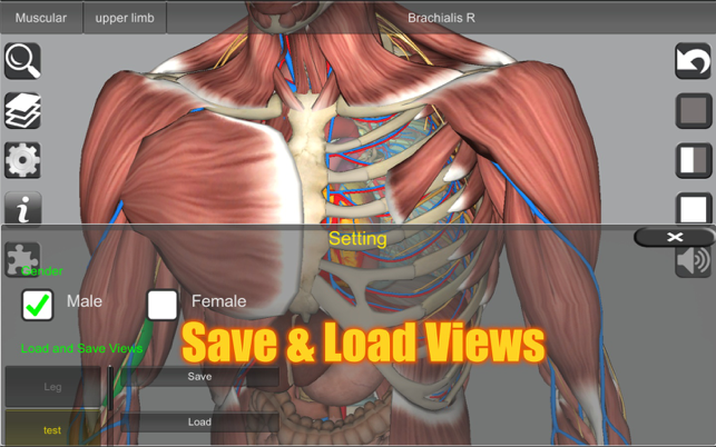 Captură de ecran de anatomie 3D