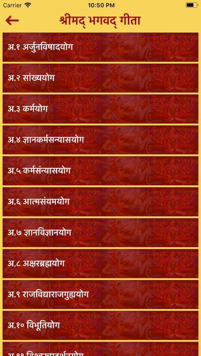 Bhagwad Gita in Hindi Screenshot