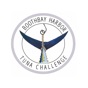 Boothbay Harbor Tuna Challenge app download