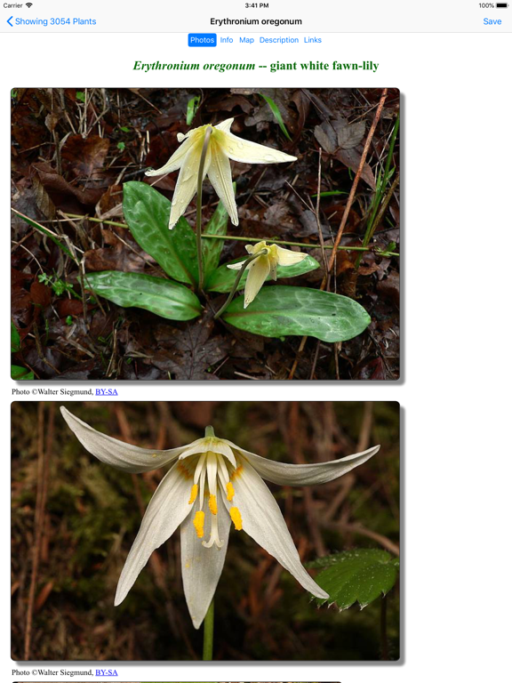 Screenshot #6 pour British Columbia Wildflowers