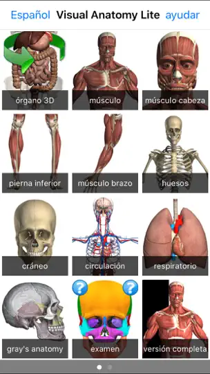 Captura de pantalla de Visual Anatomy Lite en iPhone 6