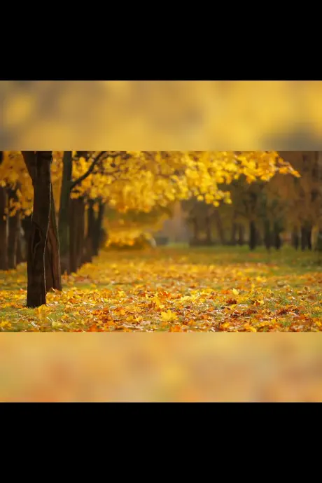 Video Resize & Scale - HD
