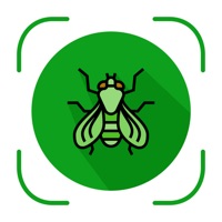 Bug Identifier  logo