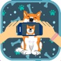 Hey Buddy! Pet Picture Taker app download