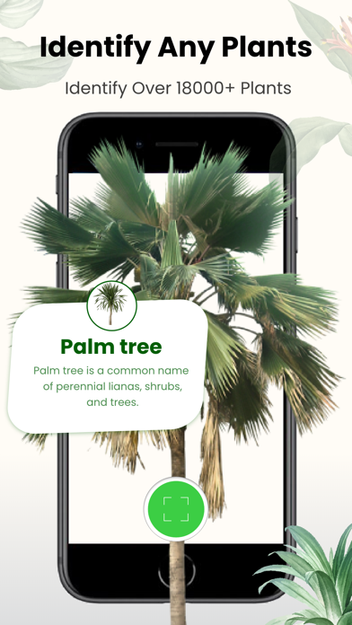Plant Identification Nature ID Screenshot