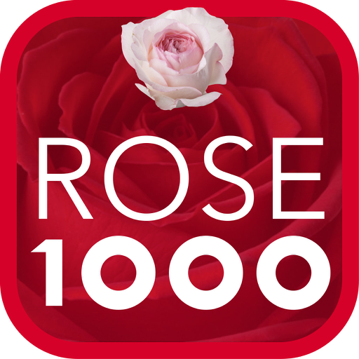 Cut Roses 1000