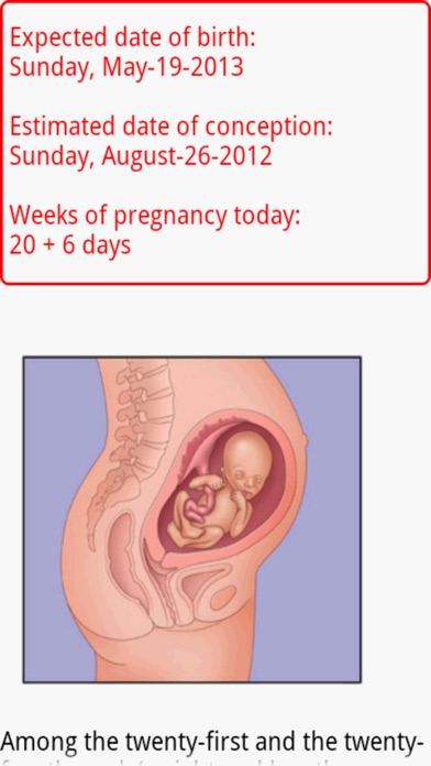 Nine Sweet Months Screenshot