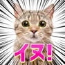 Get よく見ると変な画像 for iOS, iPhone, iPad Aso Report