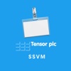 Tensor SSVM