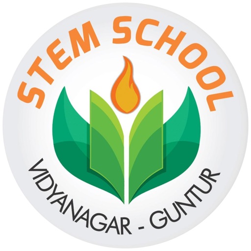 STEM School