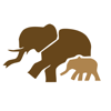 African Safariguide Lite - Pierre Tharin