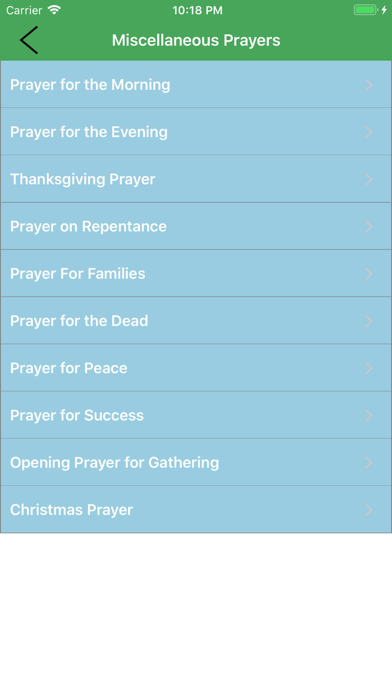Catholic Essentials Screenshot