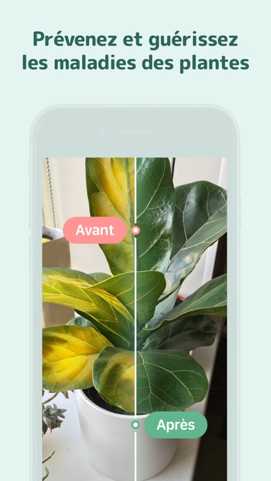 Screenshot #3 pour Blossom - soin des plantes