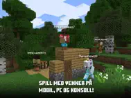 Minecraft ipad bilder 3