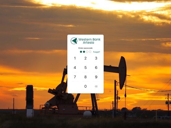 WB Artesia-Mobile iPad screenshot 2 - Finance app