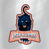 Fortune Panthers icon