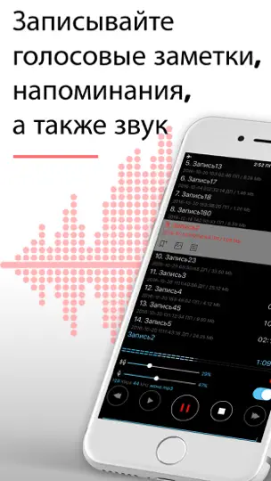 Скриншот Alon Dictaphone - Диктофон на iPhone 1