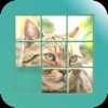 CAT PUZZLE GAME/Move the tiles icon