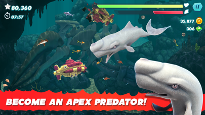 Screenshot from Hungry Shark Evolution