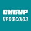 Сибур Профсоюз 2.0 icon