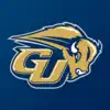 Gallaudet Bison App Feedback