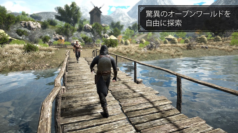 イーヴィル・ランズ MMORPG アクション冒険 screenshot 4