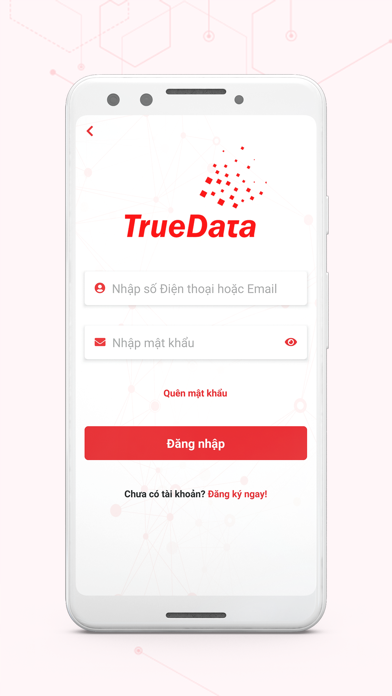 TrueData Screenshot