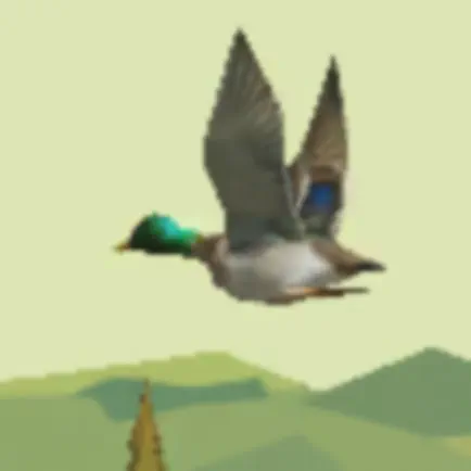 Duck Hunter - 3D Hunting Games Cheats