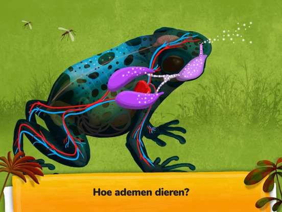 Hoe gaan dieren te werk? iPad app afbeelding 3