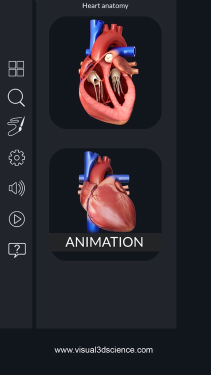 My Heart Anatomy