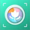 Icon Allthings Identifier – Plant