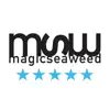 MSW Surf Forecast Positive Reviews, comments