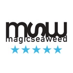 Download MSW Surf Forecast app
