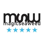 MSW Surf Forecast App Negative Reviews