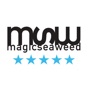 MSW Surf Forecast app download